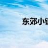 东郊小镇二手房 东郊小镇二手房