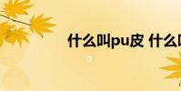 什么叫pu皮 什么叫pu皮