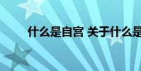 什么是自宫 关于什么是自宫的介绍