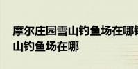摩尔庄园雪山钓鱼场在哪钓鳕鱼 摩尔庄园雪山钓鱼场在哪