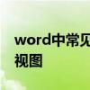 word中常见的的视图方式有 word五种基本视图