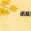 诺基亚150壁纸 诺基亚150