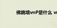 佛跳墙vnP是什么 vnp是什么