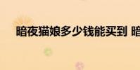 暗夜猫娘多少钱能买到 暗夜猫娘多少钱