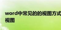 word中常见的的视图方式有 word五种基本视图