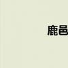 鹿邑租房子找谁 鹿邑租房