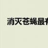 消灭苍蝇最有效的方法 杀苍蝇最好的方法