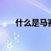 什么是马赛克网络用语 什么是马赛克