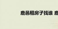 鹿邑租房子找谁 鹿邑租房