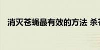 消灭苍蝇最有效的方法 杀苍蝇最好的方法