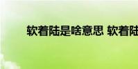 软着陆是啥意思 软着陆是什么意思