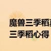 魔兽三季稻真实故事 《魔兽世界》魔兽世界三季稻心得