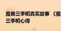 魔兽三季稻真实故事 《魔兽世界》魔兽世界三季稻心得