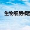 生物细胞模型制作方法简单 生物细胞模型