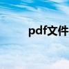 pdf文件怎么在手机打开 pdg文件