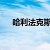 哈利法克斯的房地产市场终于开始降温