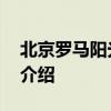 北京罗马阳光酒店 关于北京罗马阳光酒店的介绍
