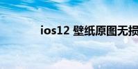 ios12 壁纸原图无损 ios12 2