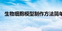 生物细胞模型制作方法简单 生物细胞模型