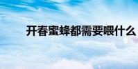 开春蜜蜂都需要喂什么 kc免费短信