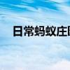 日常蚂蚁庄园答题：断桥在苏州还是杭州