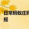 日常蚂蚁庄园答题：喝葡萄酒前为什么要摇一摇