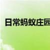 日常蚂蚁庄园答题：喝葡萄酒为什么要摇杯
