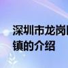深圳市龙岗区横岗镇 关于深圳市龙岗区横岗镇的介绍