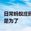 日常蚂蚁庄园答题：一般喝葡萄酒前摇晃酒杯是为了