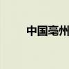 中国亳州网 关于中国亳州网的介绍