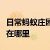 日常蚂蚁庄园答题：许仙和白娘子结缘的断桥在哪里