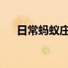 日常蚂蚁庄园答题：蚂蚁庄园摇晃酒杯