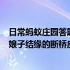 日常蚂蚁庄园答题：小鸡宝宝考考你想看看传说中许仙和白娘子结缘的断桥应该去