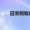 日常蚂蚁庄园答题：断桥在哪个城市