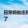 日常蚂蚁庄园答题：喝葡萄酒前摇晃酒杯是为了