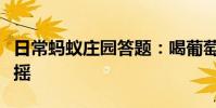 日常蚂蚁庄园答题:喝葡萄酒前为什么要摇一摇