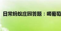 日常蚂蚁庄园答题:喝葡萄酒为什么要摇杯