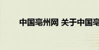 中国亳州网 关于中国亳州网的介绍