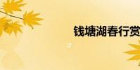 钱塘湖春行赏析
