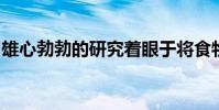 雄心勃勃的研究着眼于将食物垃圾转化为食物
