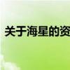 关于海星的资料 关于关于海星的资料的介绍