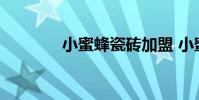 小蜜蜂瓷砖加盟 小蜜蜂瓷砖