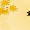 金立e6手机 金立e6
