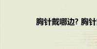 胸针戴哪边? 胸针戴哪边