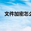 文件加密怎么设置代码 文件加密怎么设置