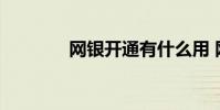 网银开通有什么用 网银开通