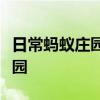 日常蚂蚁庄园答题：喝醉后做一些运动蚂蚁庄园