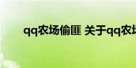 qq农场偷匪 关于qq农场偷匪的介绍