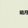 暗月兔 关于暗月兔的介绍