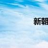 新朝币 关于新朝币的介绍